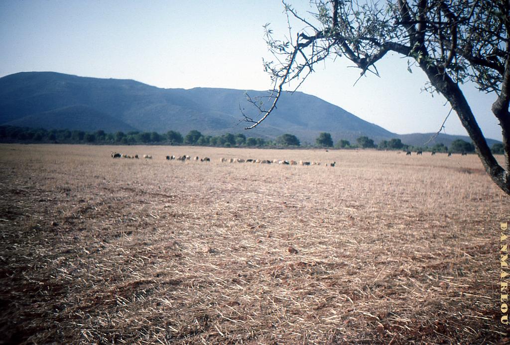 LE KHAR OU LA MONTAGNE DES LIONS (9).jpg